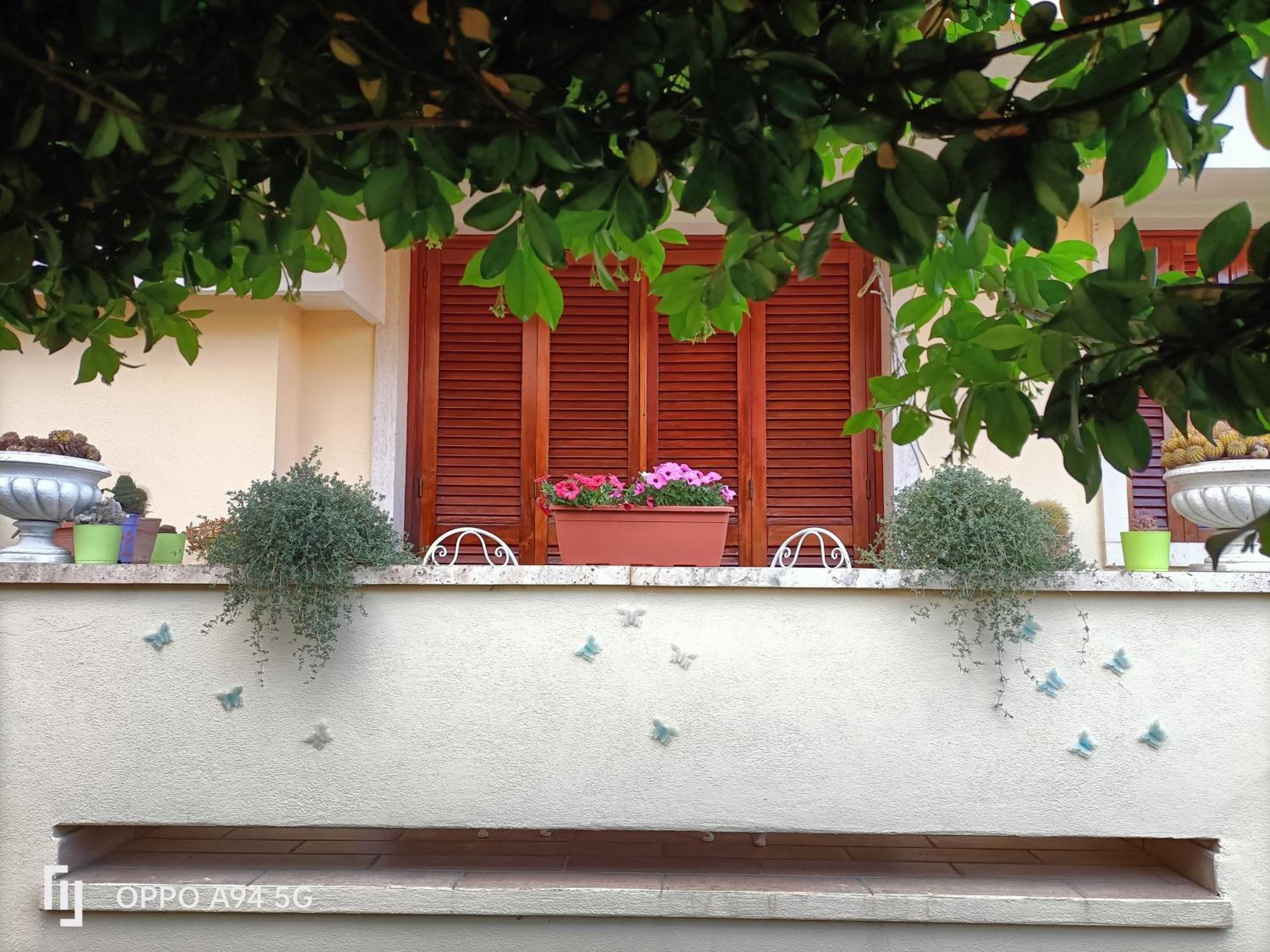 Gemma Di Gallura Charme B&B Olbia Exteriör bild