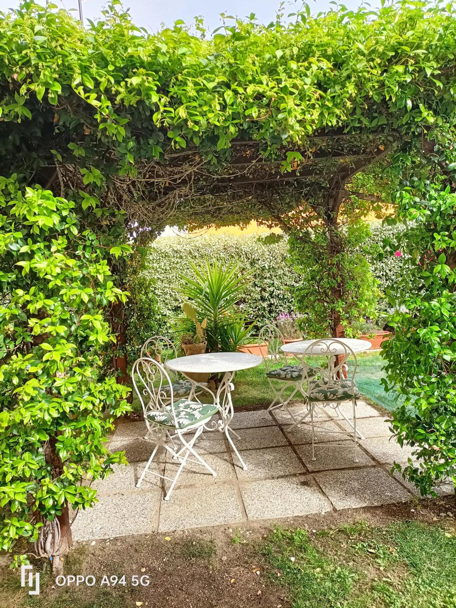 Gemma Di Gallura Charme B&B Olbia Exteriör bild