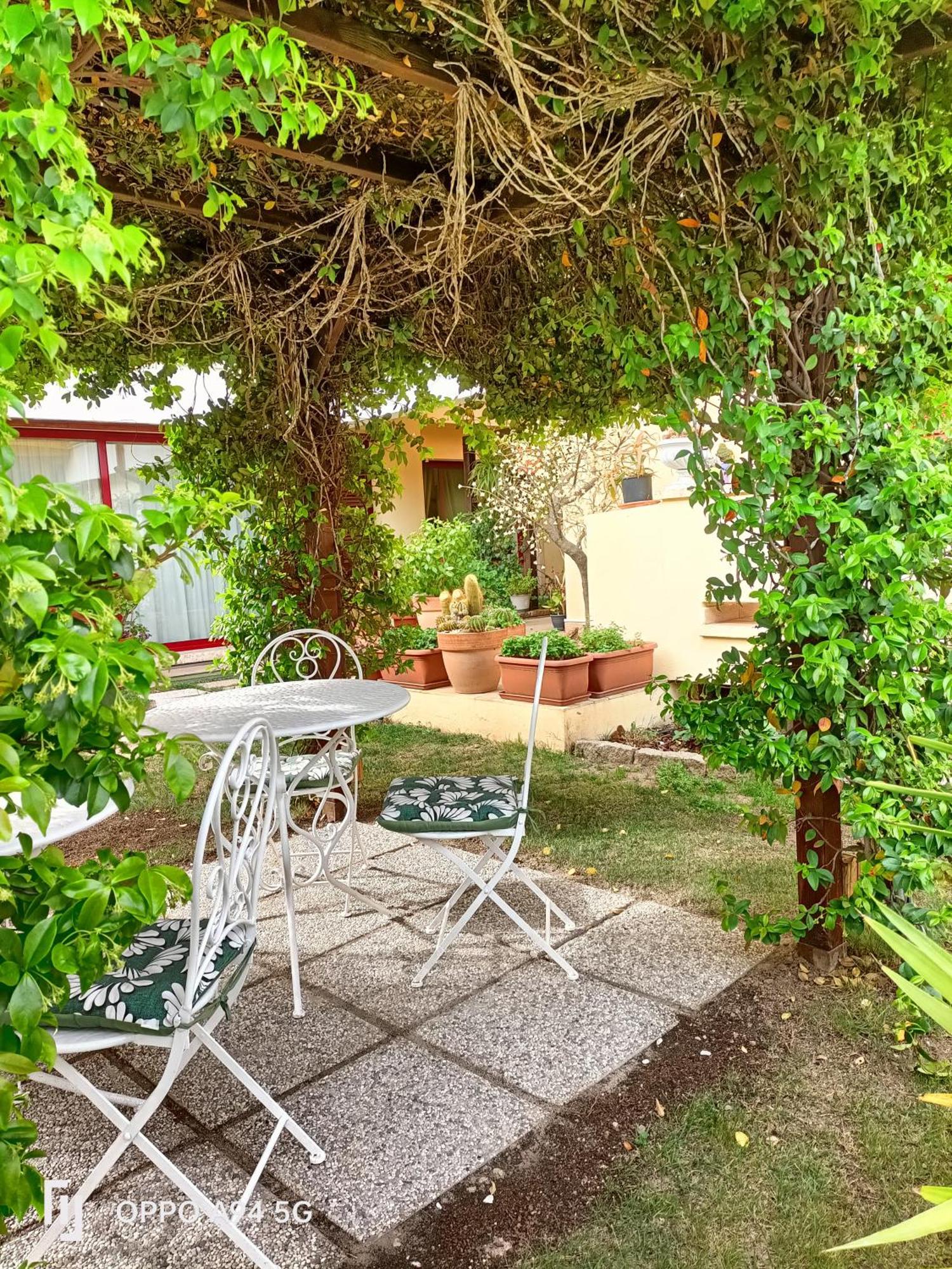 Gemma Di Gallura Charme B&B Olbia Exteriör bild